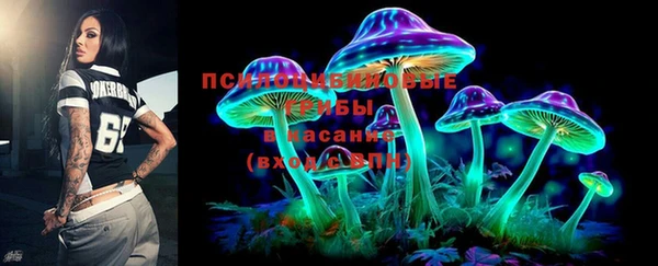 mdma Лагань