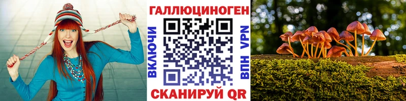 ссылка на мегу ССЫЛКА  Правдинск  Псилоцибиновые грибы ЛСД 